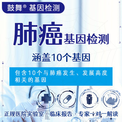 comprar NGS 10 Pruebas genéticas 10 Pruebas genéticas dirigidas para el riesgo de cáncer de pulmón online manufacture